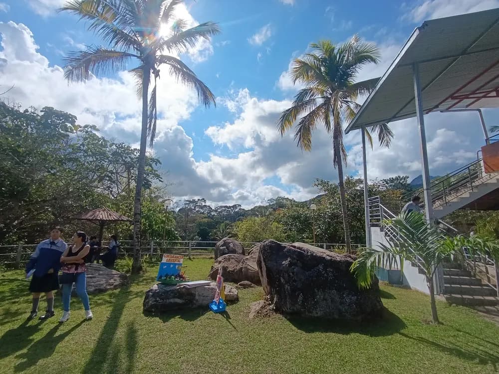 Áreas verdes del campus con palmeras, bancas y zona de juego.